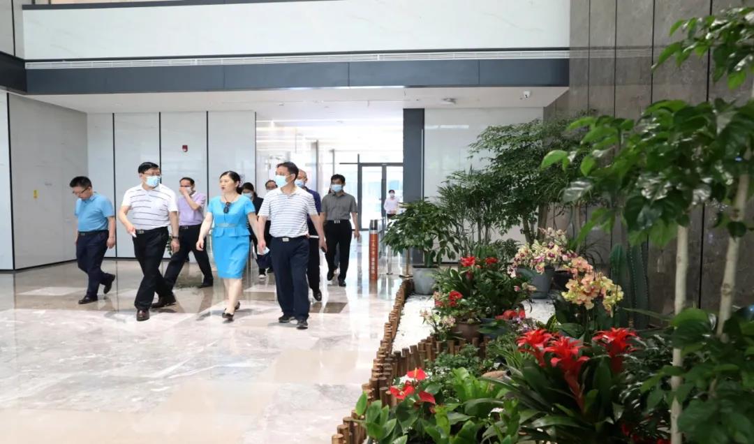 樱花成视频yh人入口
